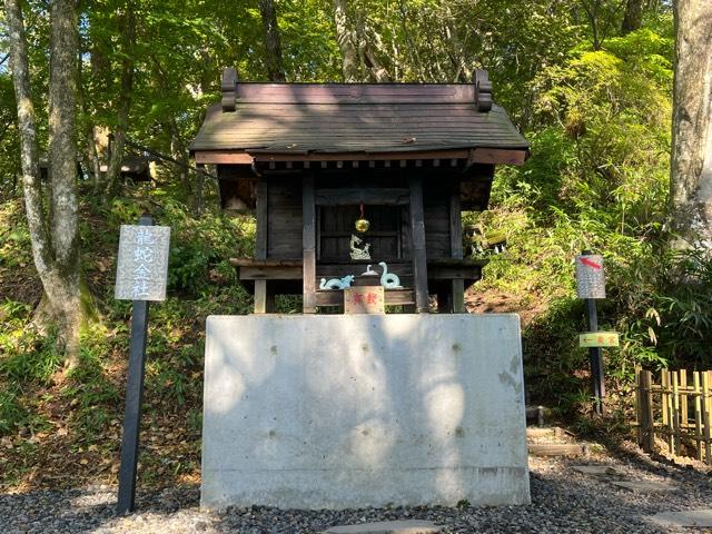 龍蛇金社(熊野皇大神社境内社)の参拝記録5