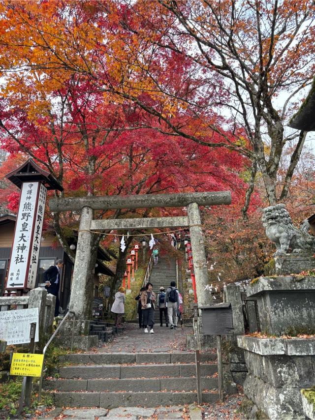 龍蛇金社(熊野皇大神社境内社)の参拝記録4