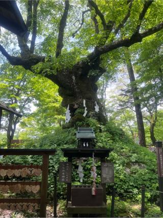 熊野皇大神社那智宮の参拝記録(ゆあんさん)