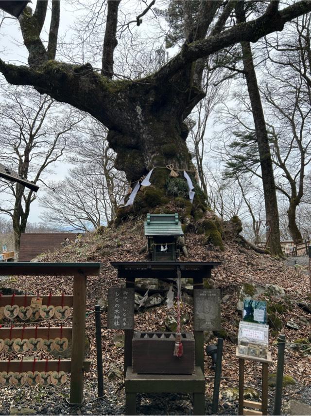 長野県北佐久郡軽井沢町峠町1 熊野皇大神社奥宮の写真2