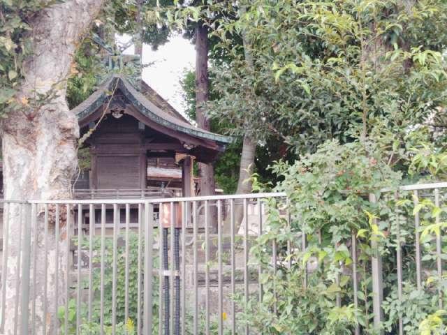 一本杉神社の参拝記録1