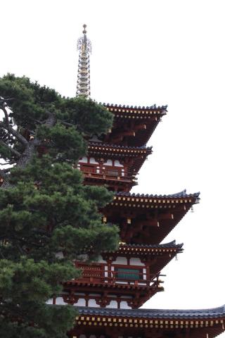 薬師寺　南門の参拝記録(うきまるさん)