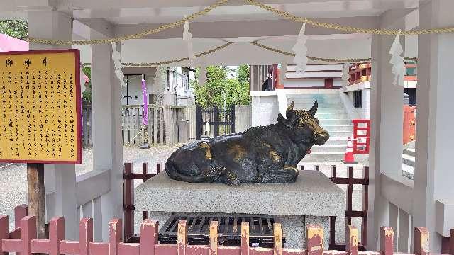御新牛（亀戸天神）の参拝記録2