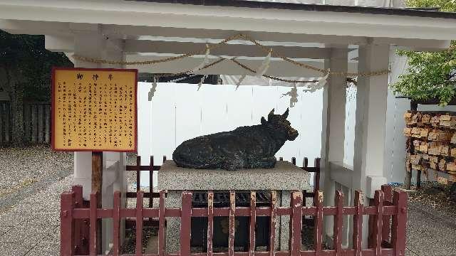 御新牛(亀戸天神)の参拝記録2