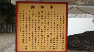 御新牛（亀戸天神）の参拝記録(りょうまさん)