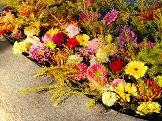 蔵持宝満宮の参拝記録(風祭すぅさん)