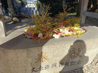 蔵持宝満宮の参拝記録(ゆみねえさん)