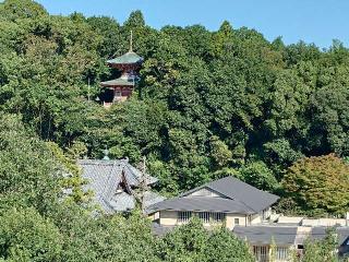 瀧谷不動尊の参拝記録(ゴルゴさん)