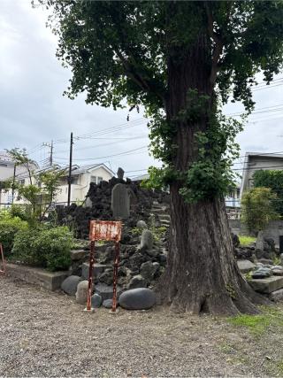 浅間神社の参拝記録(⛩️🎠🐢まめ🐢🎠⛩️さん)