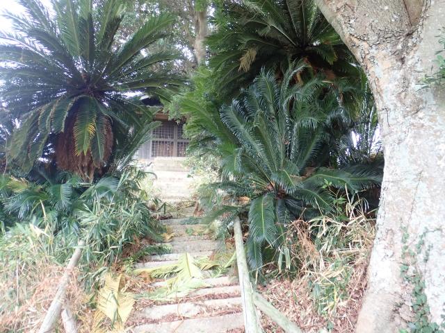 愛媛県松山市高浜町6丁目1638 七面天女大明神の写真2