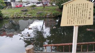 龍神宮(善知鳥神社境内)の参拝記録(SFUKUさん)