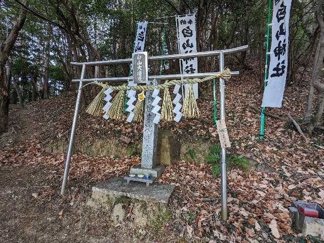 白山神社 奥院の写真1