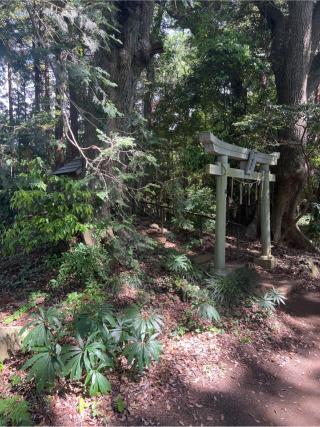 大権現社の参拝記録(⛩️🐍🐢まめ🐢🐍⛩️さん)