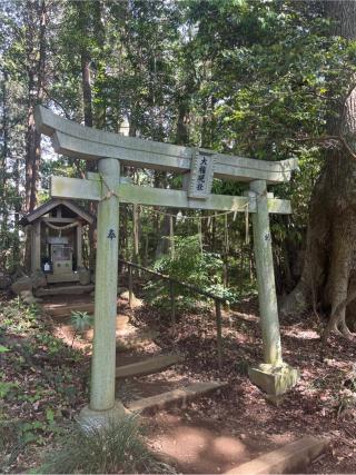 大権現社の参拝記録(⛩️🐍🐢まめ🐢🐍⛩️さん)