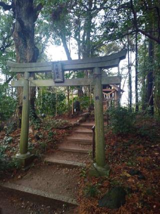 大権現社の参拝記録(Toneさん)