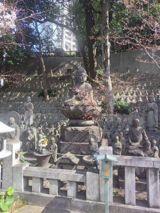 松林山 大円寺(大圓寺、大黒寺）の参拝記録(海さん)