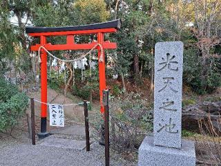 鷲宮神社光天之池の参拝記録(のりさん)