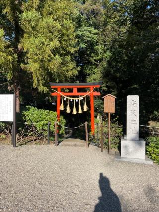 鷲宮神社光天之池の参拝記録(⛩️🐍🐢まめ🐢🐍⛩️さん)