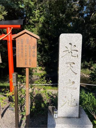 鷲宮神社光天之池の参拝記録(⛩️🐍🐢まめ🐢🐍⛩️さん)