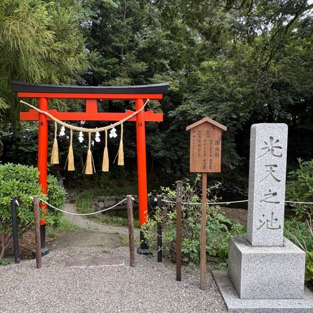 鷲宮神社光天之池の参拝記録2