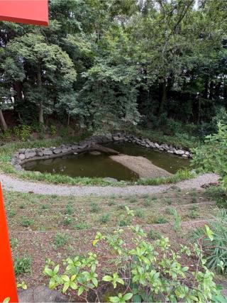 鷲宮神社光天之池の参拝記録(色部優兎さん)