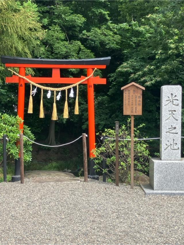 鷲宮神社光天之池の参拝記録1