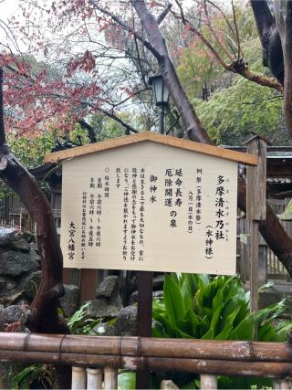 多摩清水乃社(大宮八幡宮)の参拝記録(⛩️🐍🐢まめ🐢🐍⛩️さん)