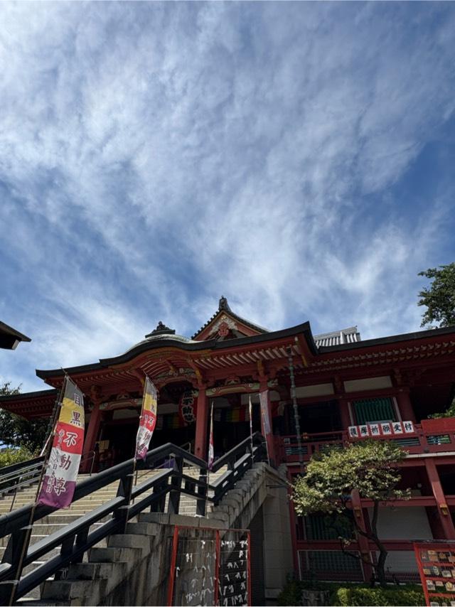 泰叡山 瀧泉寺（目黒不動尊）の参拝記録8