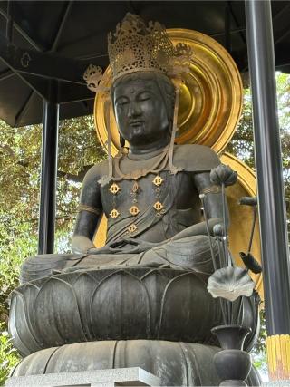 泰叡山 瀧泉寺（目黒不動尊）の参拝記録(HACYさん)