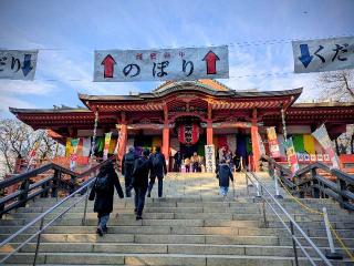 泰叡山 瀧泉寺（目黒不動尊）の参拝記録(こた６こじ６さん)