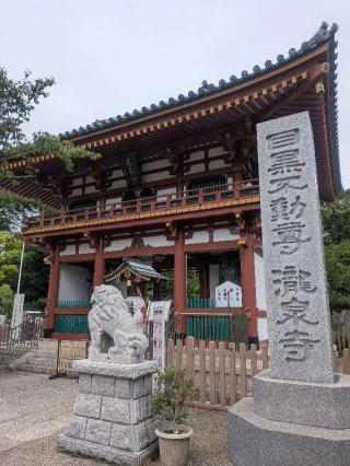 泰叡山 瀧泉寺（目黒不動尊）の参拝記録(はくすみさん)