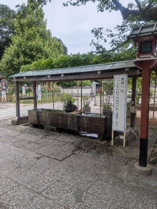 泰叡山 瀧泉寺（目黒不動尊）の参拝記録(はくすみさん)