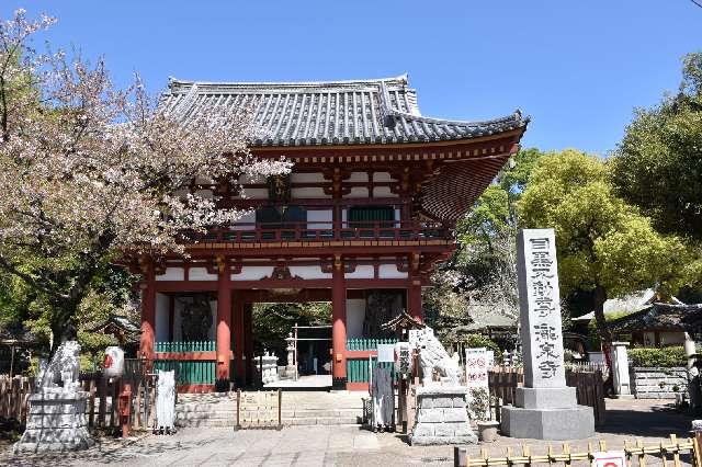 泰叡山 瀧泉寺（目黒不動尊）の参拝記録8