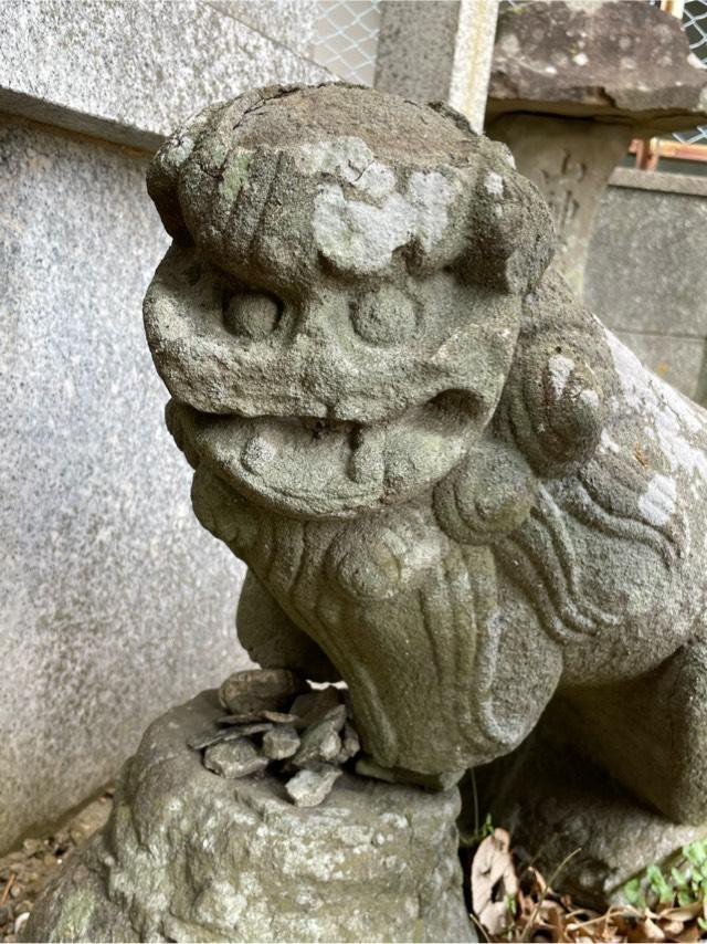 徳島県徳島市西大工町４丁目 大山祇神社の写真2