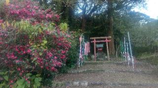 正一位稲荷神社の参拝記録(雪月さん)