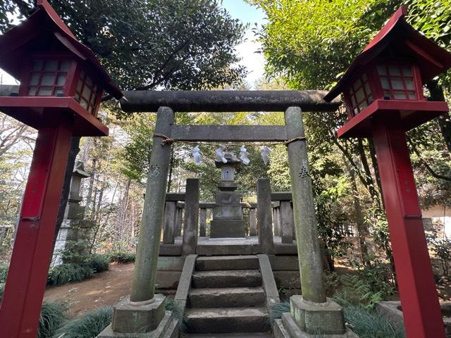 元宮神社(新倉氷川八幡神社境内)の参拝記録1