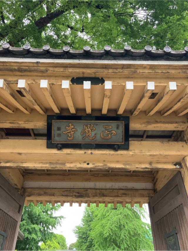 実相山 正覚寺の参拝記録6