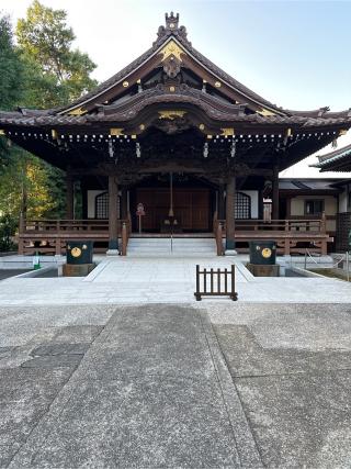 実相山 正覚寺の参拝記録(gragrayasさん)