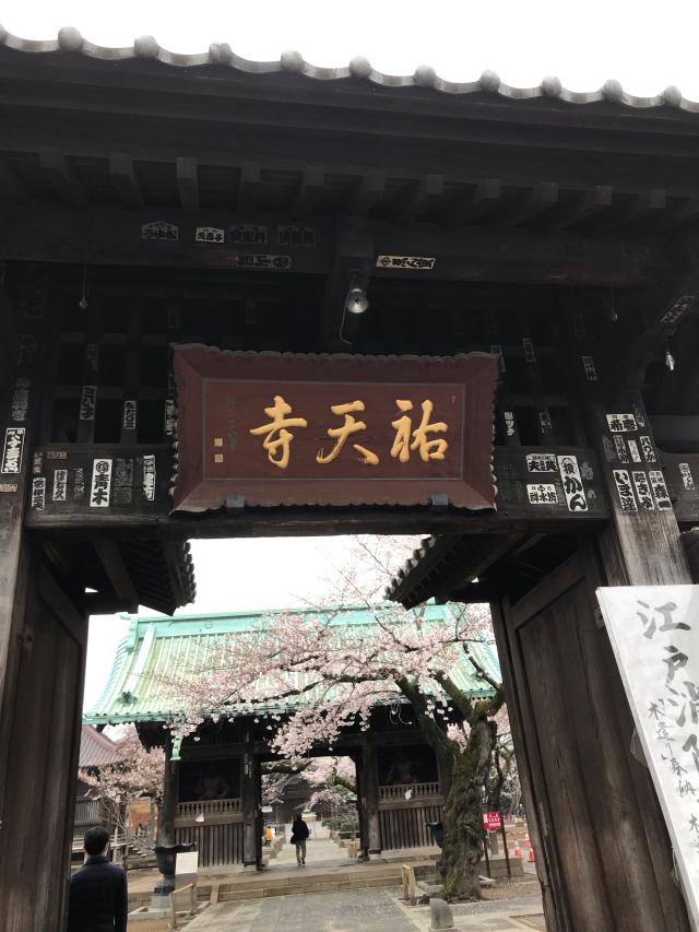 祐天寺の参拝記録2