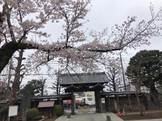 祐天寺の参拝記録(ロカさん)