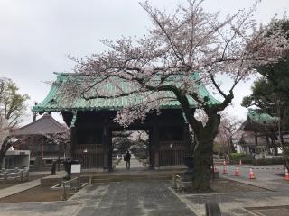 祐天寺の参拝記録(ロカさん)