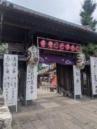 祐天寺の参拝記録(はくすみさん)