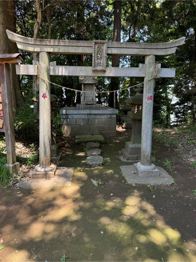 松尾神社(流山赤城神社境内)の参拝記録(こーちんさん)