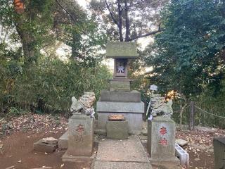 水神宮(流山赤城神社境内)の参拝記録(バルタさん)