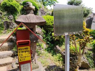 富士塚(流山浅間神社境内)の参拝記録(miyumikoさん)