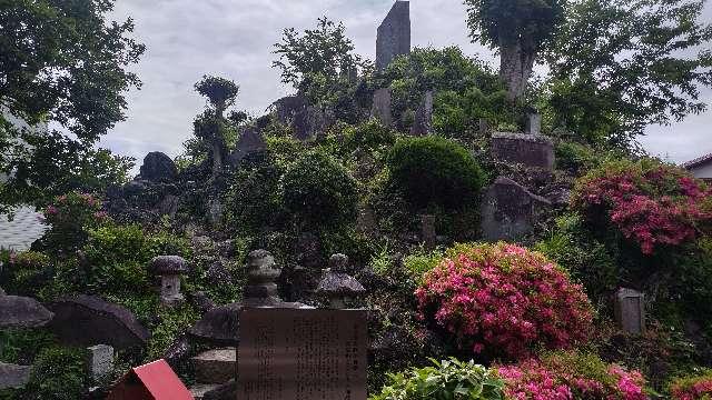 富士塚(流山浅間神社境内)の参拝記録1