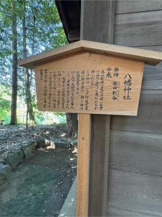 八幡神社(大宮神社境内)の参拝記録(こーちんさん)