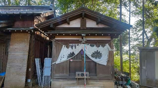 大杉神社(大宮神社境内)の参拝記録1