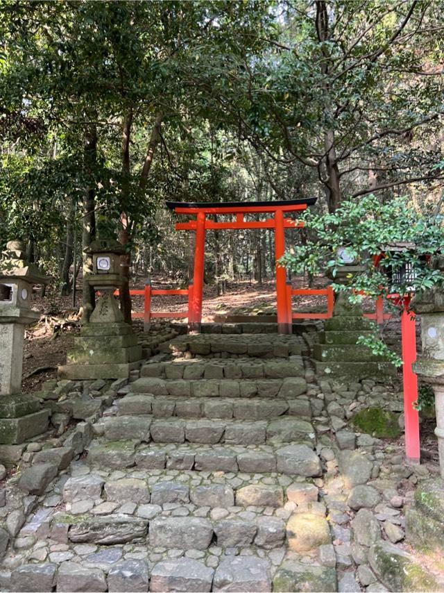鳴雷神社(春日大社末社)の参拝記録(⛩️🐍🐢まめ🐢🐍⛩️さん)