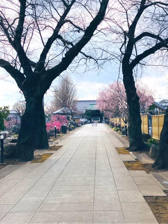 東京都立川市柴崎町4-20-46 普済寺の写真2